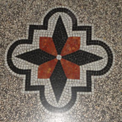 Rosette 134 SDSC01036